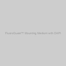 Image of FluoroQuest™ Mounting Medium with DAPI